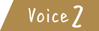 voice2