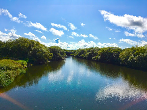 標津川