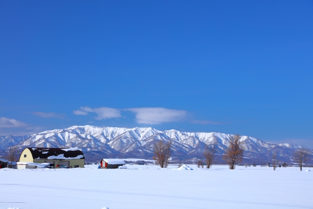 北海道銀世界と青空