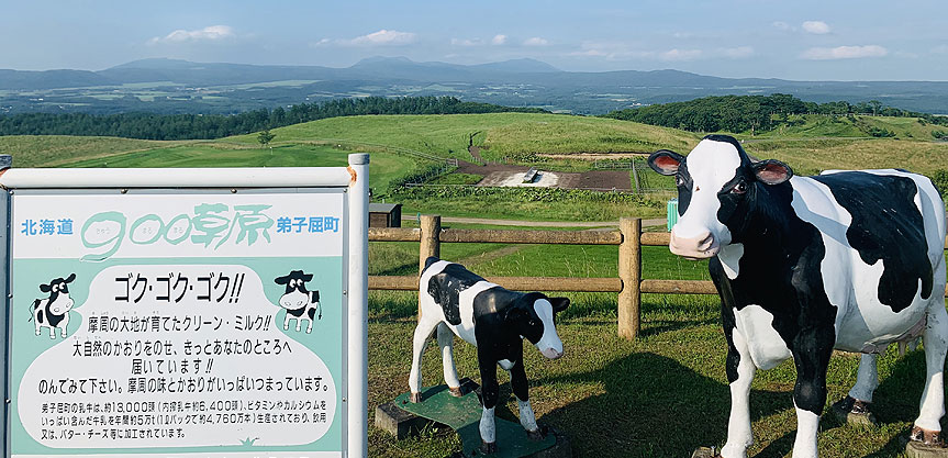 900（きゅうまるまる）草原