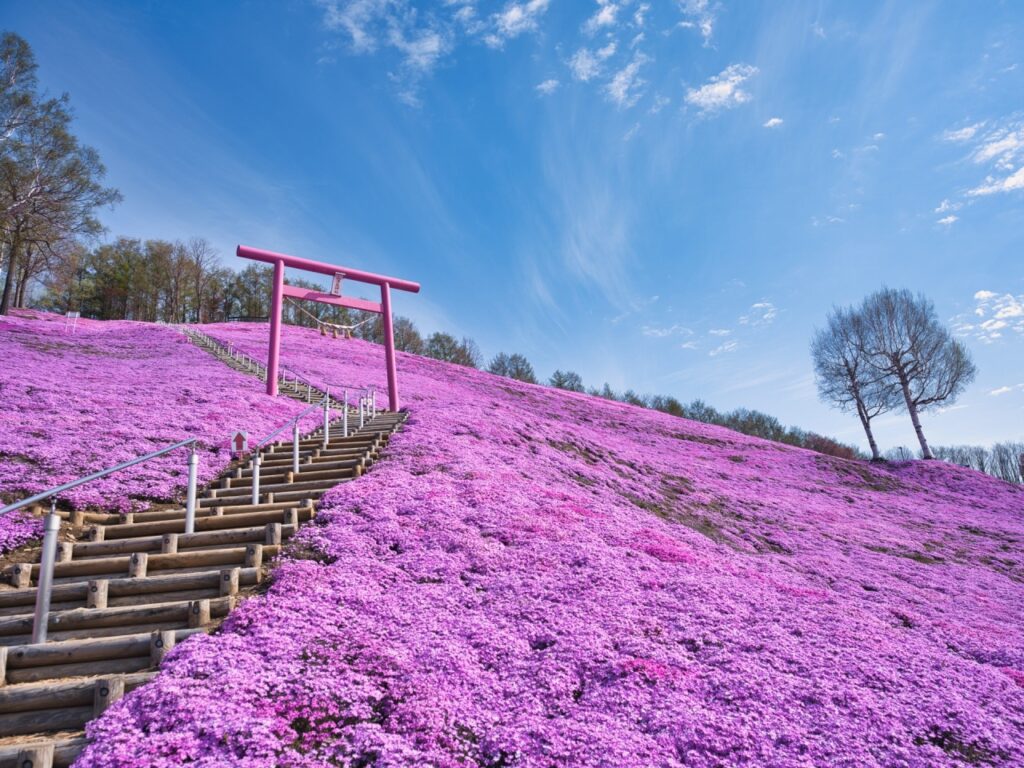東藻琴芝公園鳥居
