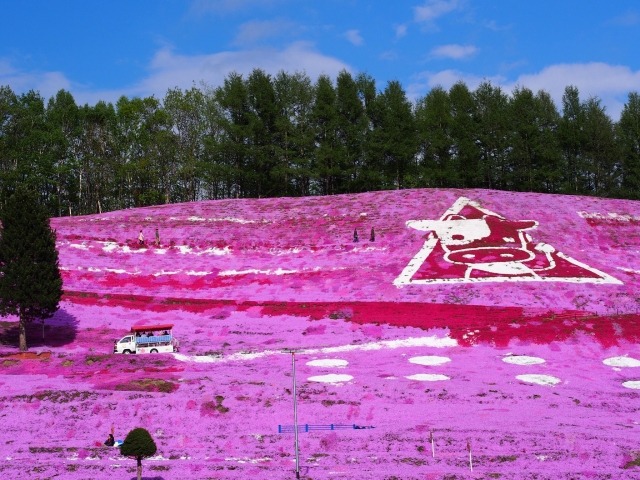 ひがしもこと芝桜公園