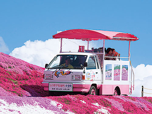 東藻琴芝公園遊覧車