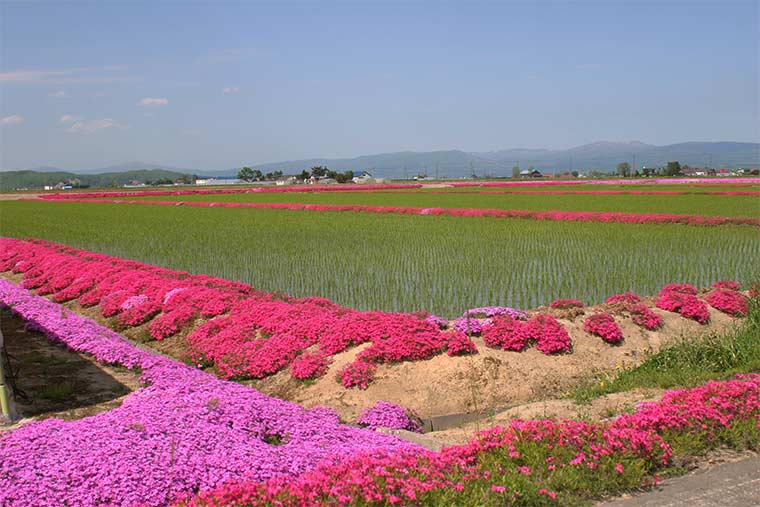 風連町瑞生地区